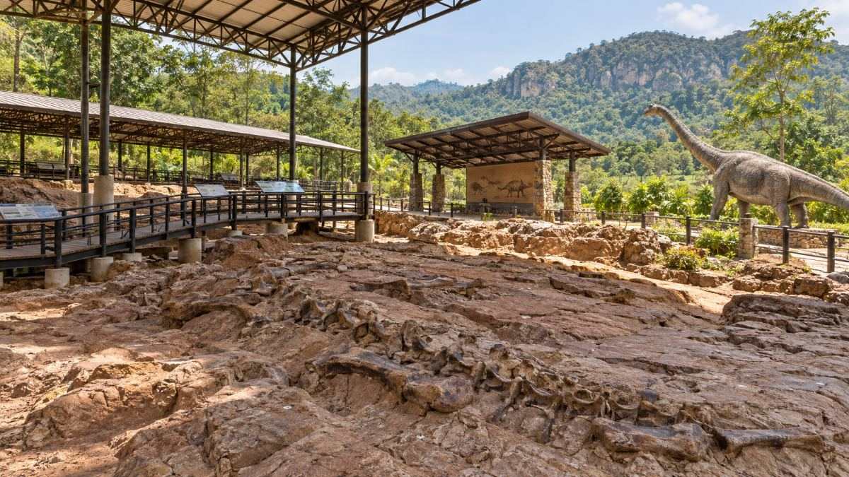 The fossil excavation site at Phu Wiang