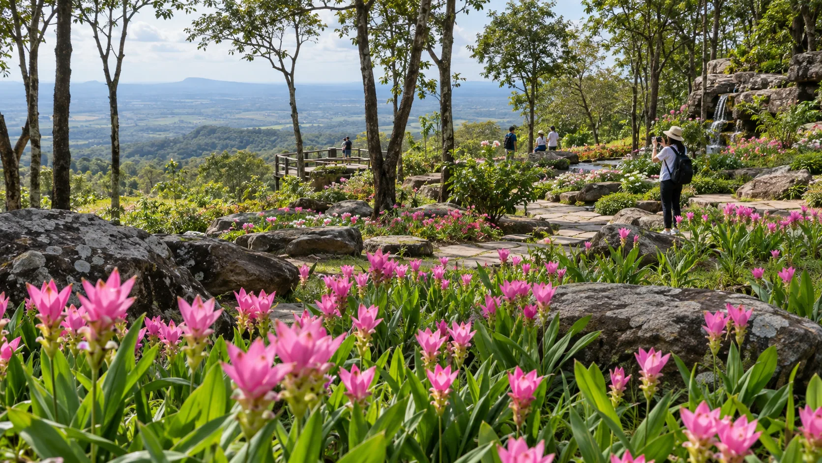 Seasonal flower garden viewpoint at Phu Foi Lom, Udon Thani.