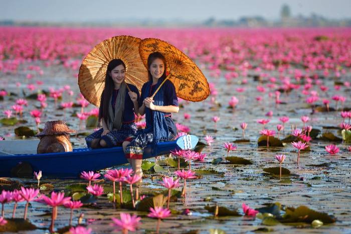 Red Lotus Lake, Udon Thani